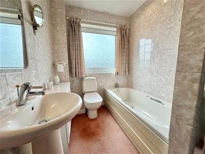 Picture 14